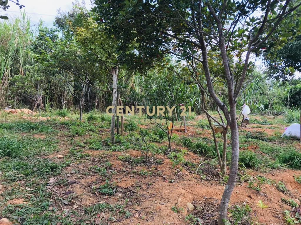 龍潭肥沃園地(A16)