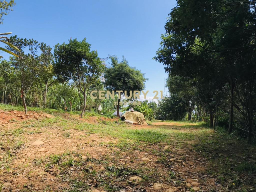 龍潭肥沃園地(A16)