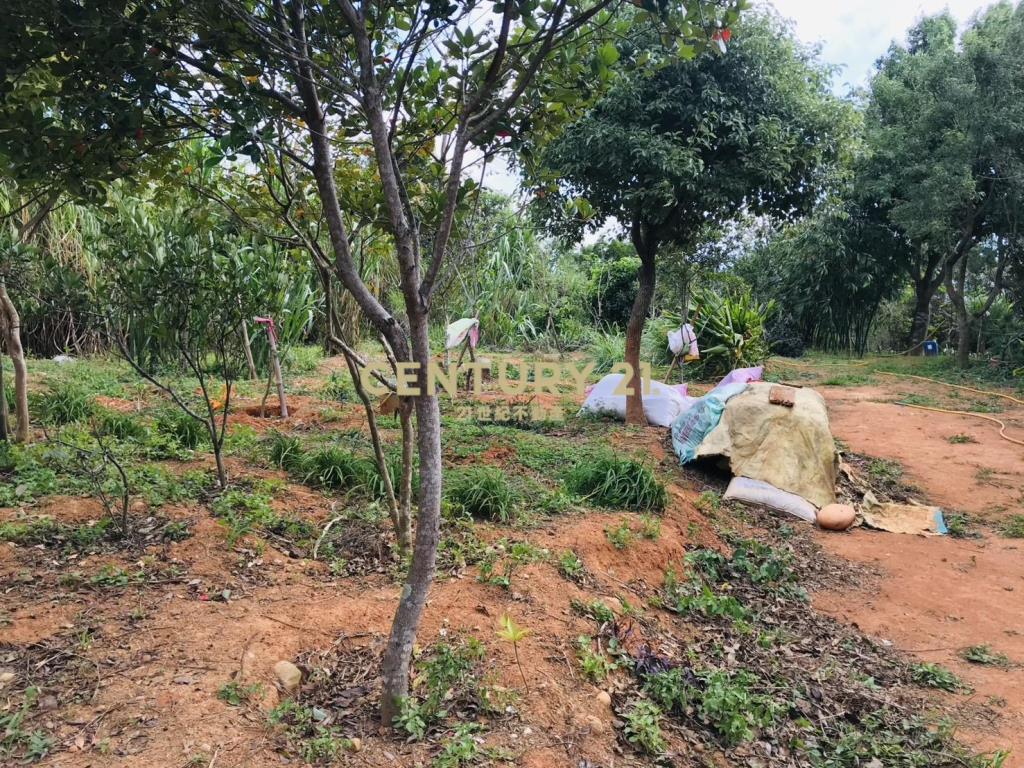 龍潭肥沃園地(A16)