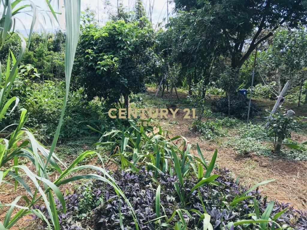 龍潭肥沃園地(A16)