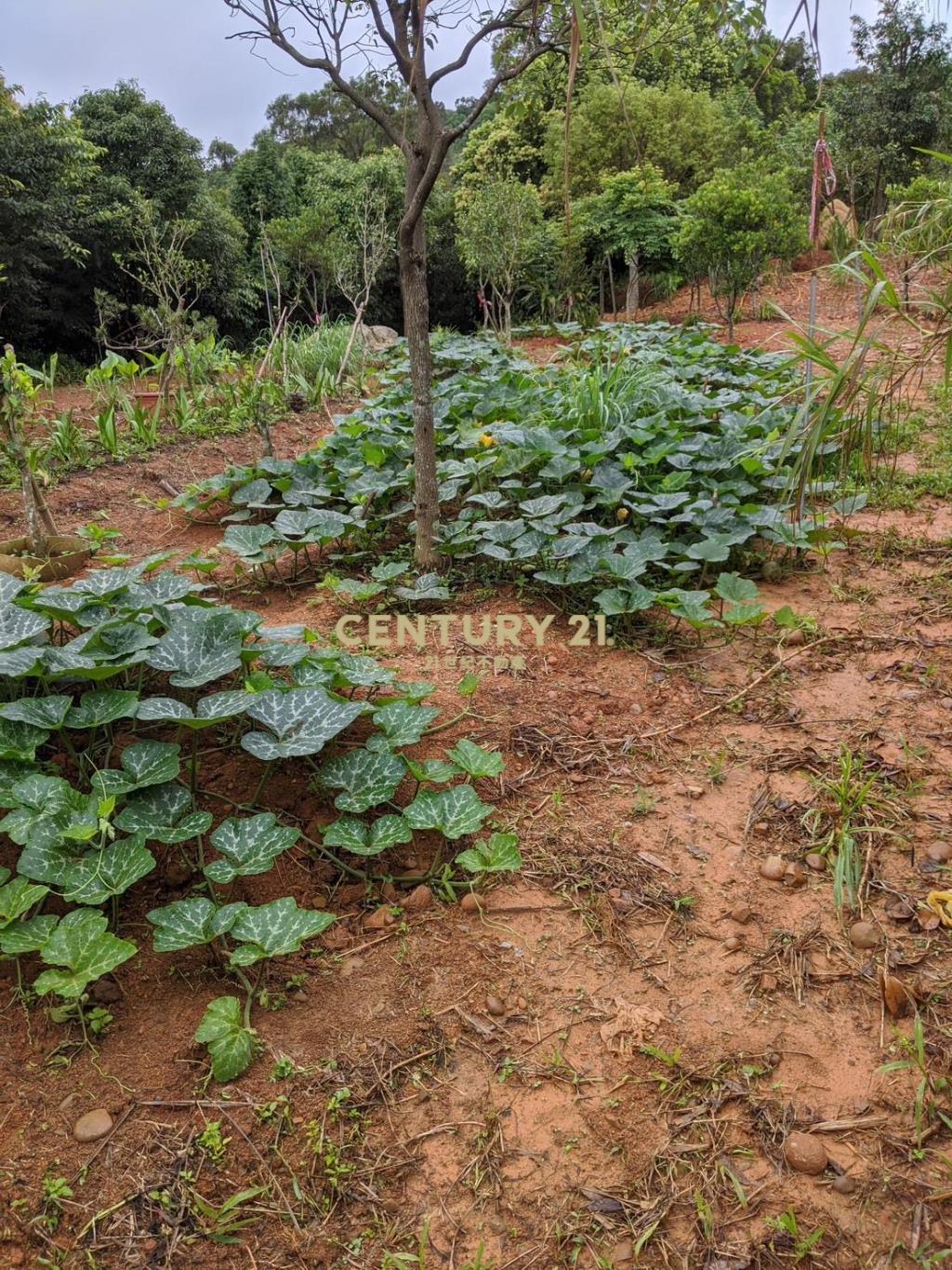 龍潭肥沃園地(A16)