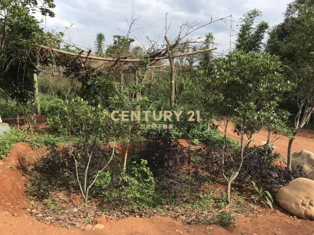 龍潭肥沃園地(A16)