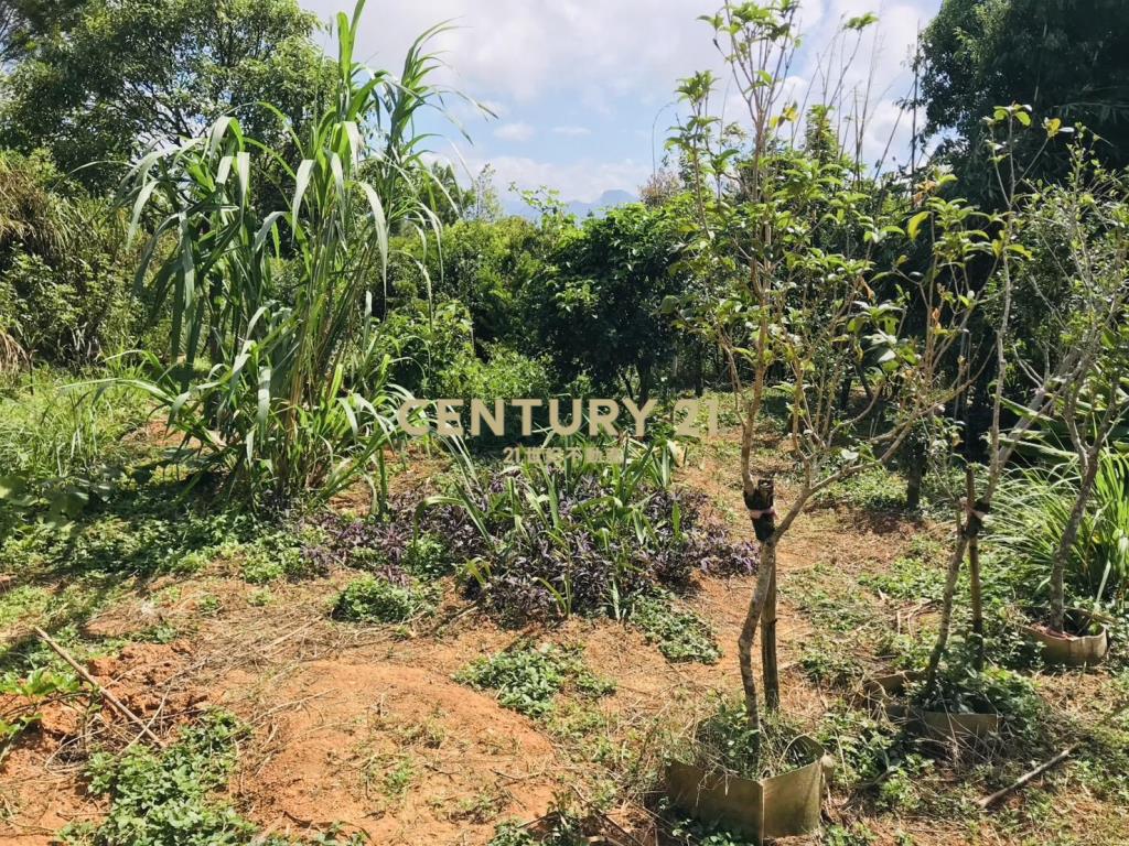 龍潭肥沃園地(A16)