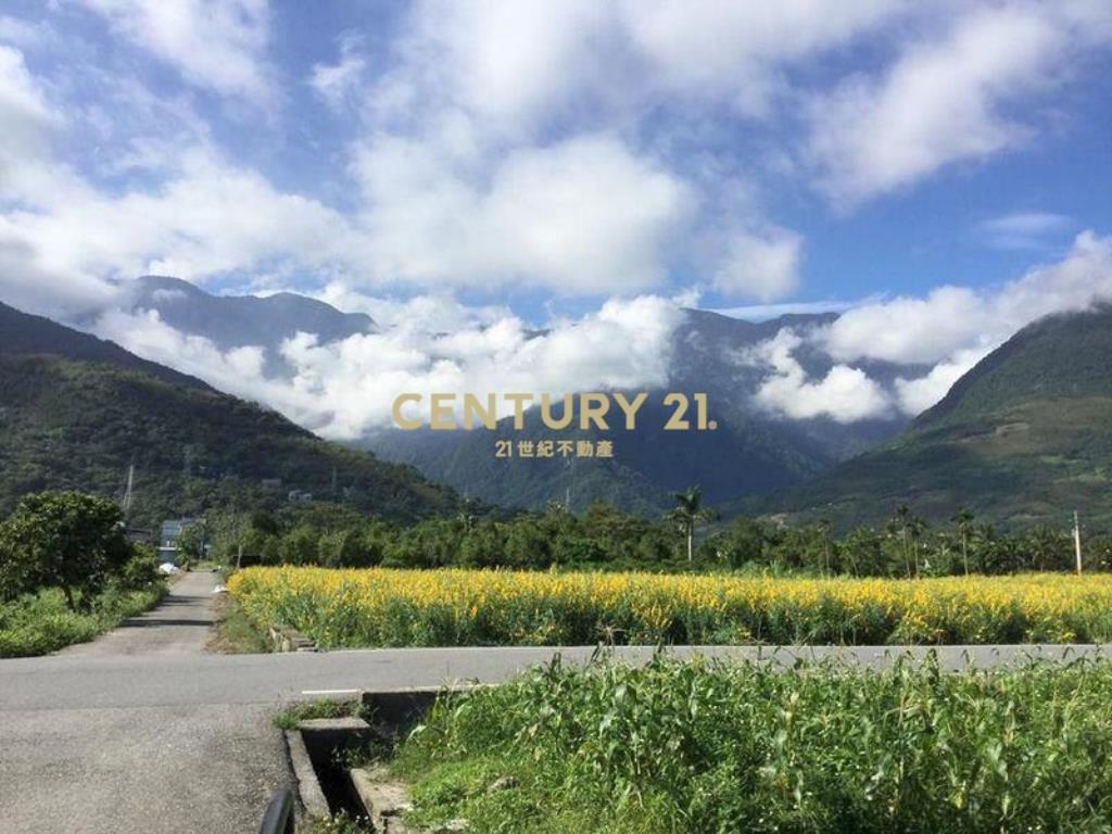 花蓮吉安山景農舍(B300)