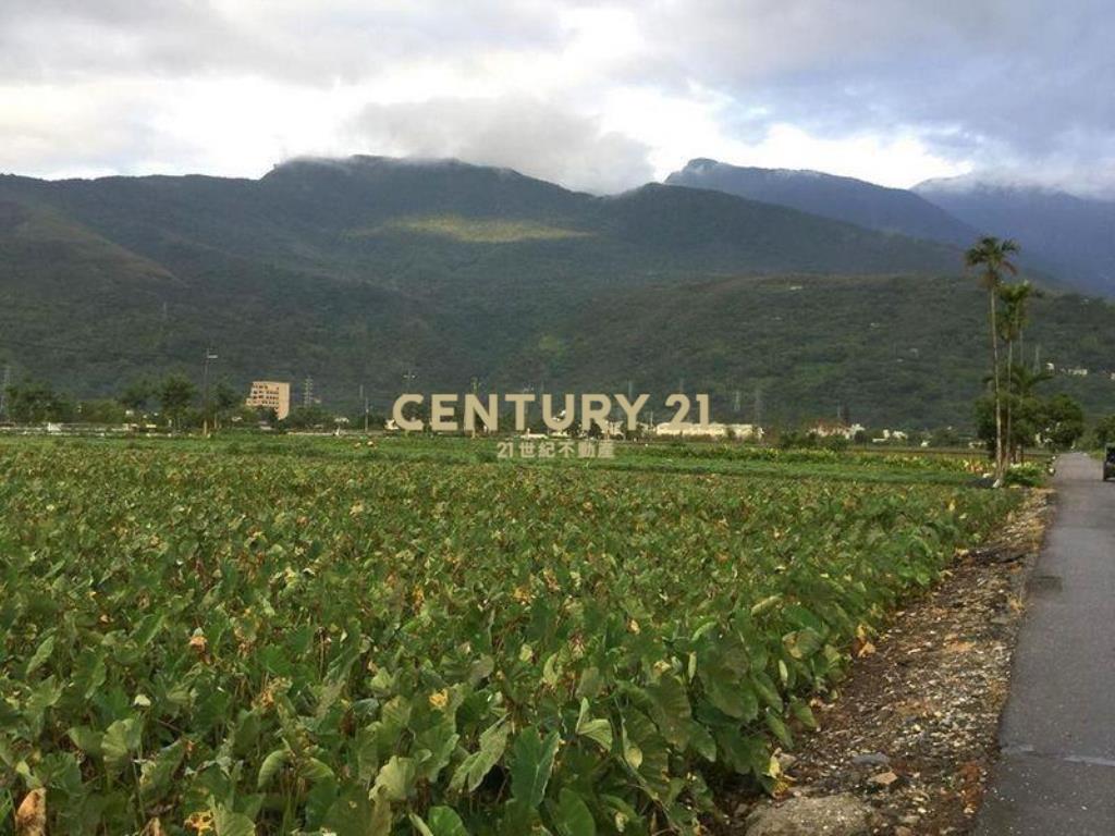 花蓮吉安山景農舍(B300)