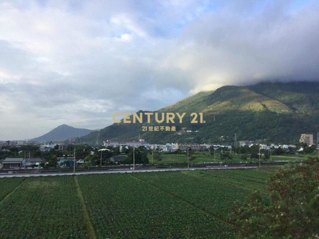 花蓮吉安山景農舍(B300)