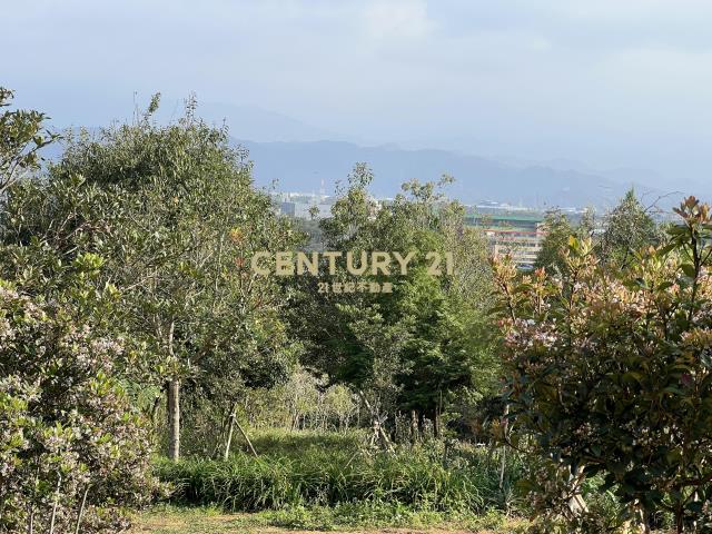 龍潭便宜土地(A156)