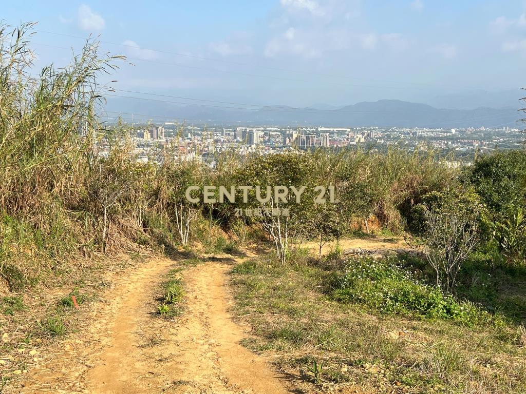 龍潭便宜土地(A156)