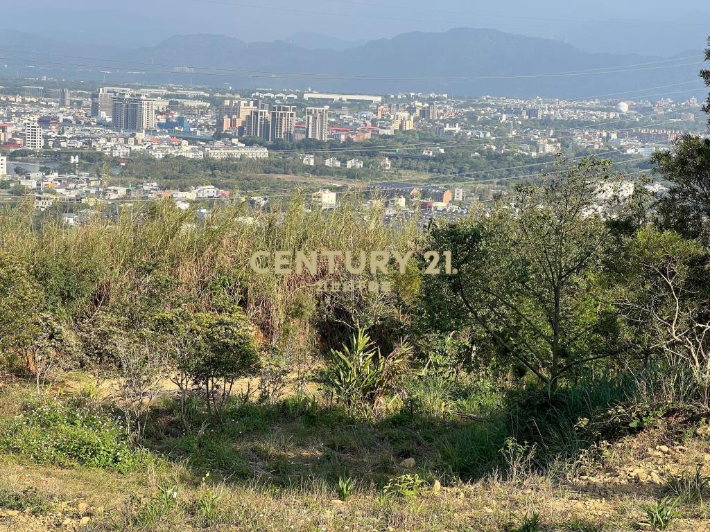 龍潭便宜土地(A156)