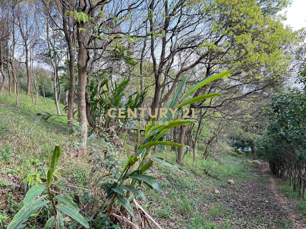 龍潭便宜土地(A156)