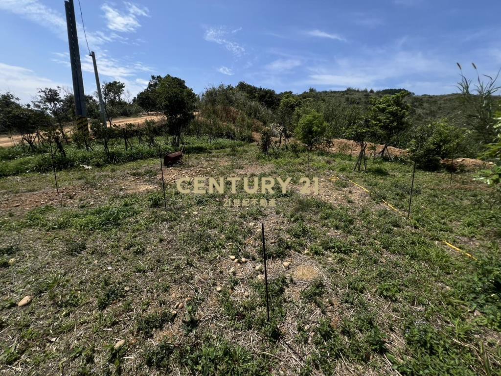 龍潭景觀漂亮土地(A157)