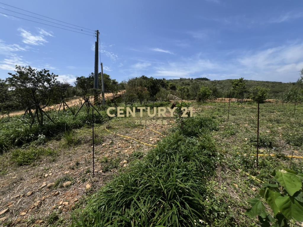 龍潭景觀漂亮土地(A157)