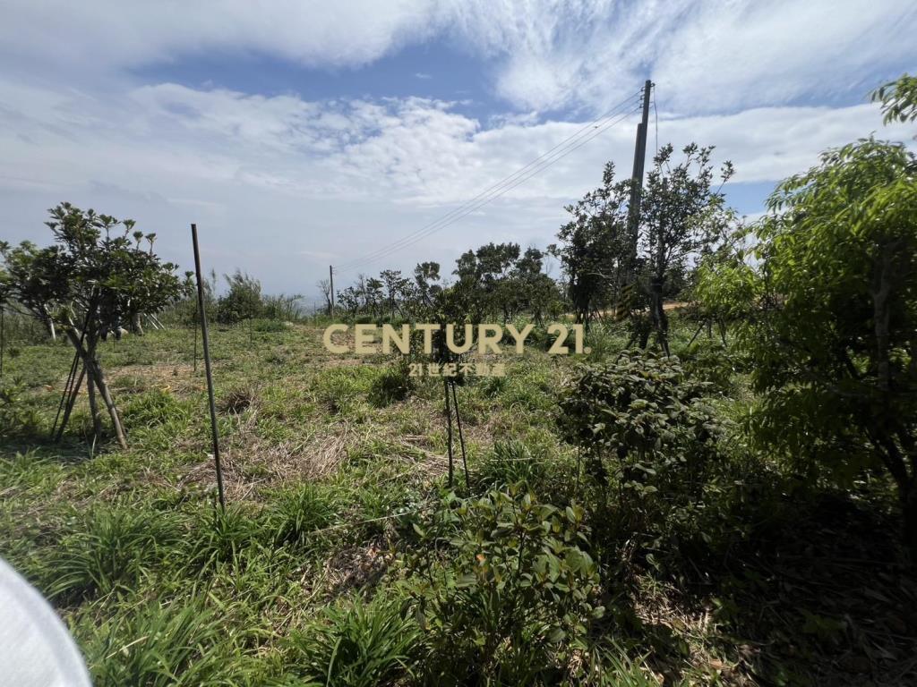 龍潭景觀漂亮土地(A157)