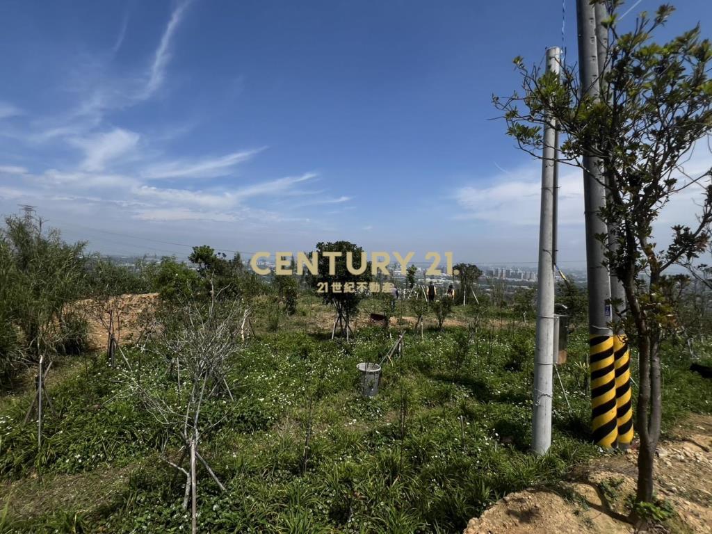 龍潭景觀漂亮土地(A157)