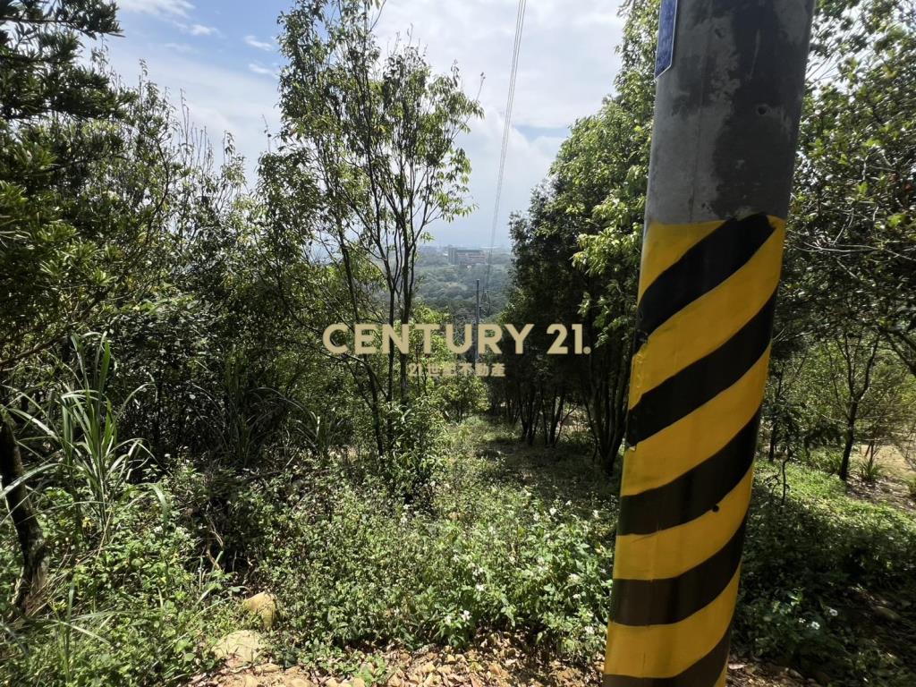 龍潭景觀漂亮土地(A157)