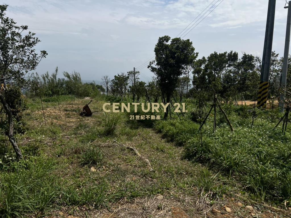 龍潭景觀漂亮土地(A157)