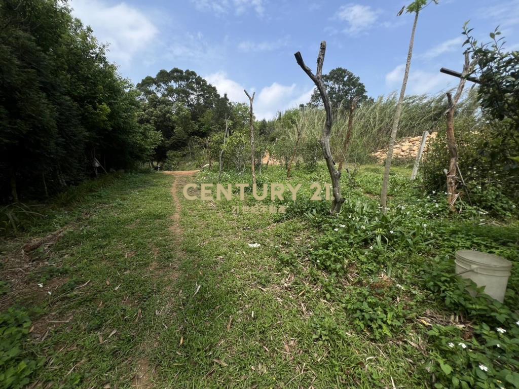 龍潭景觀漂亮土地(A157)