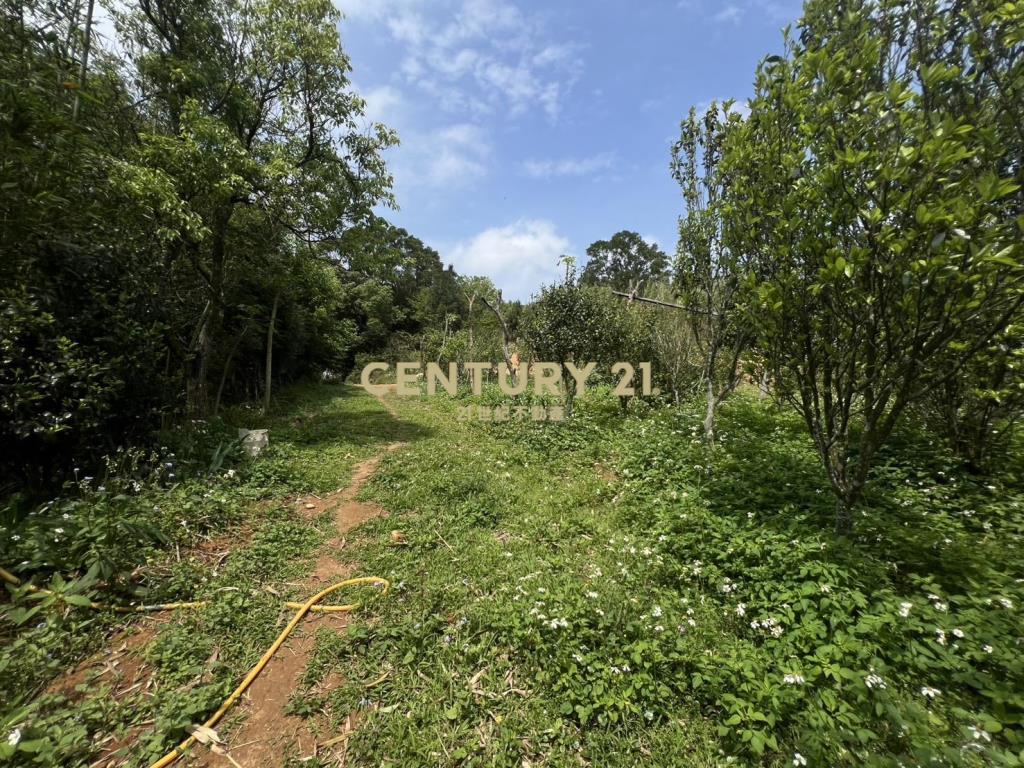 龍潭景觀漂亮土地(A157)