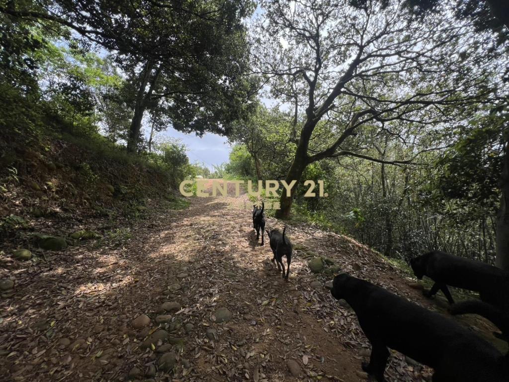 龍潭景觀漂亮土地(A157)