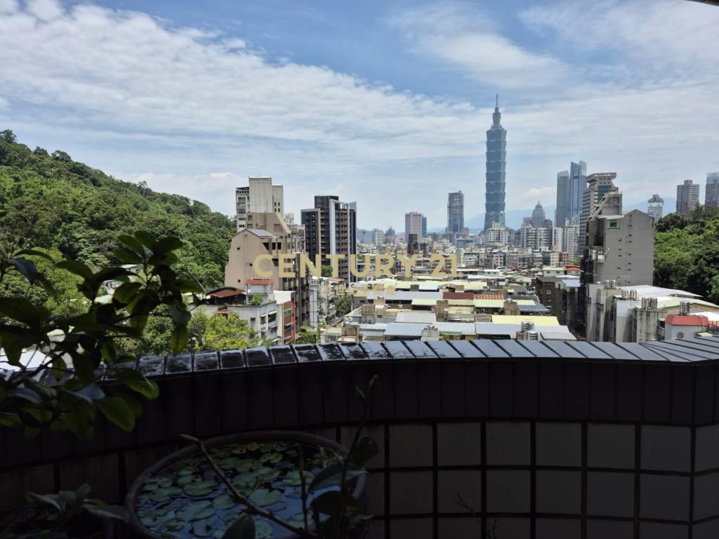 信義景觀101樓中樓(B65)