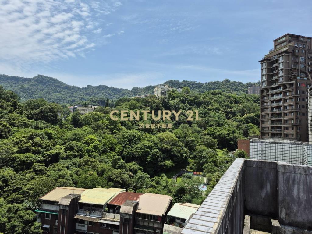 信義景觀101樓中樓(B65)