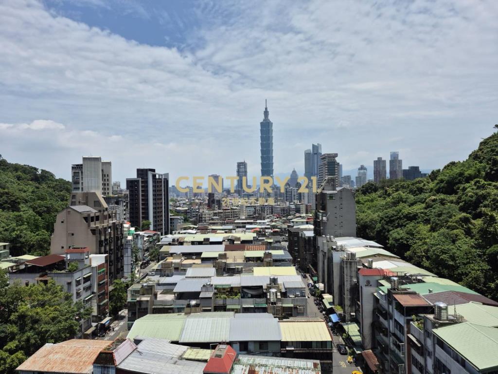 信義景觀101樓中樓(B65)