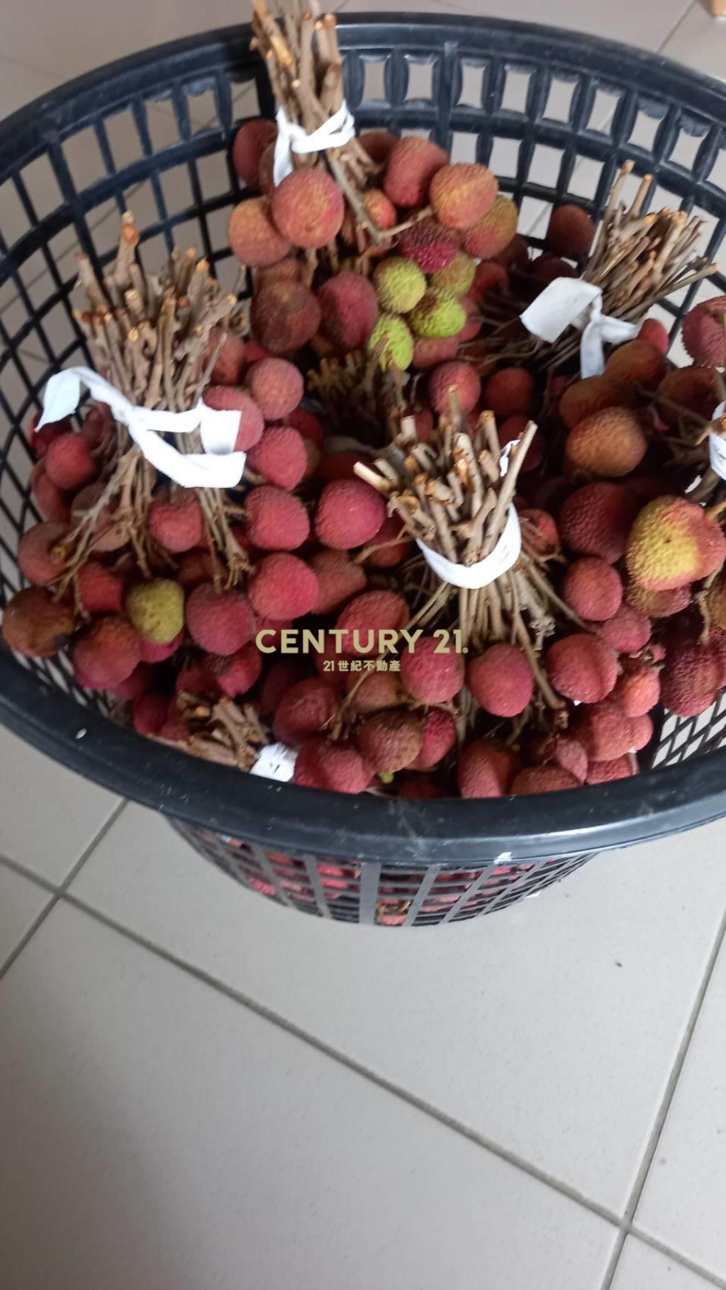 二林休閒農牧用地(B316)