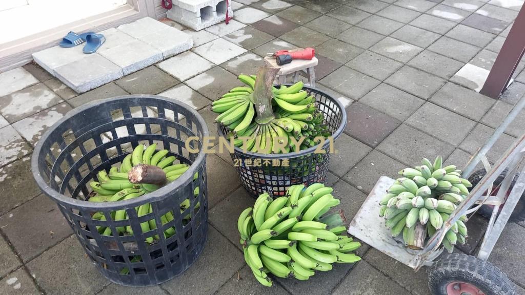 二林休閒農牧用地(B316)