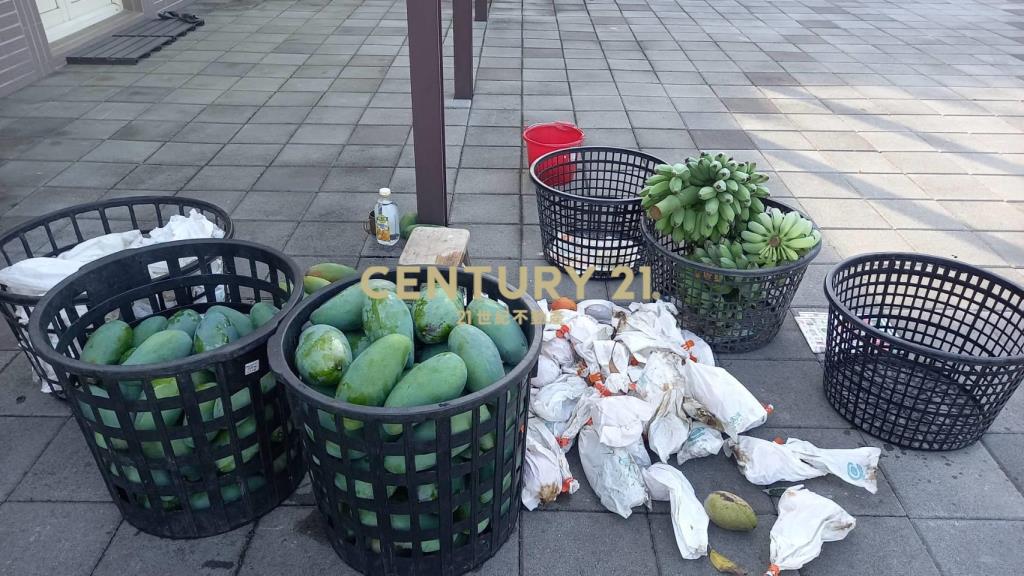 二林休閒農牧用地(B316)