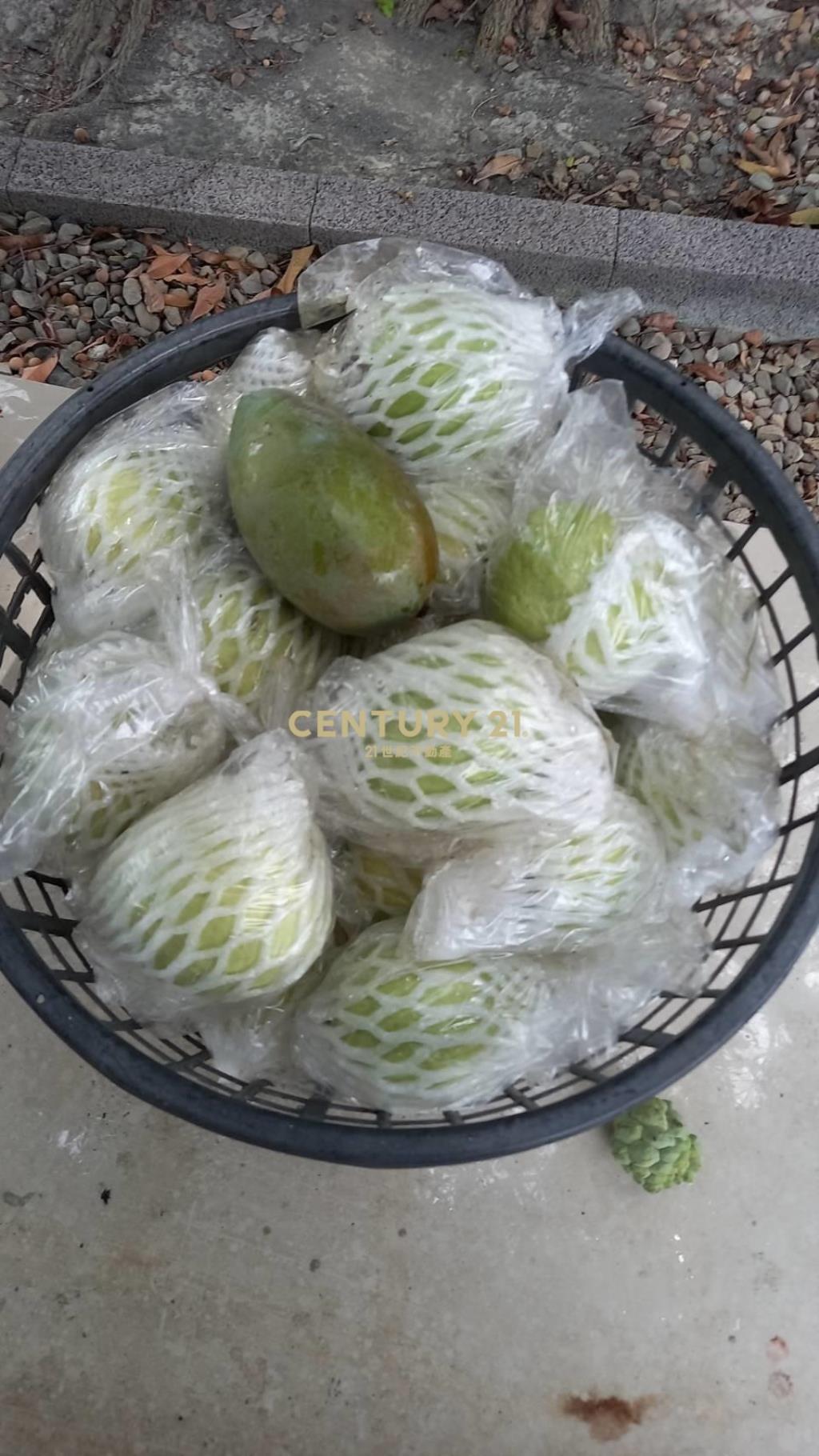 二林休閒農牧用地(B316)