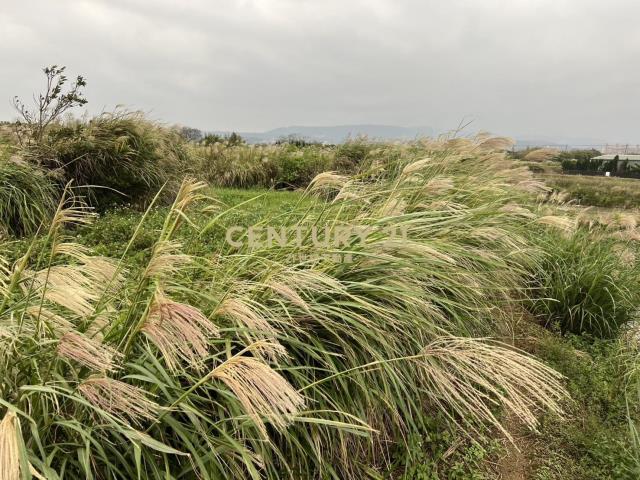 三芝制高農地1(B325)