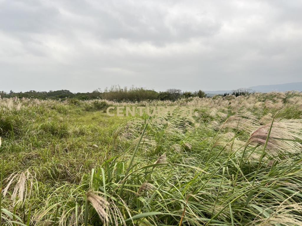 三芝制高農地1(B325)