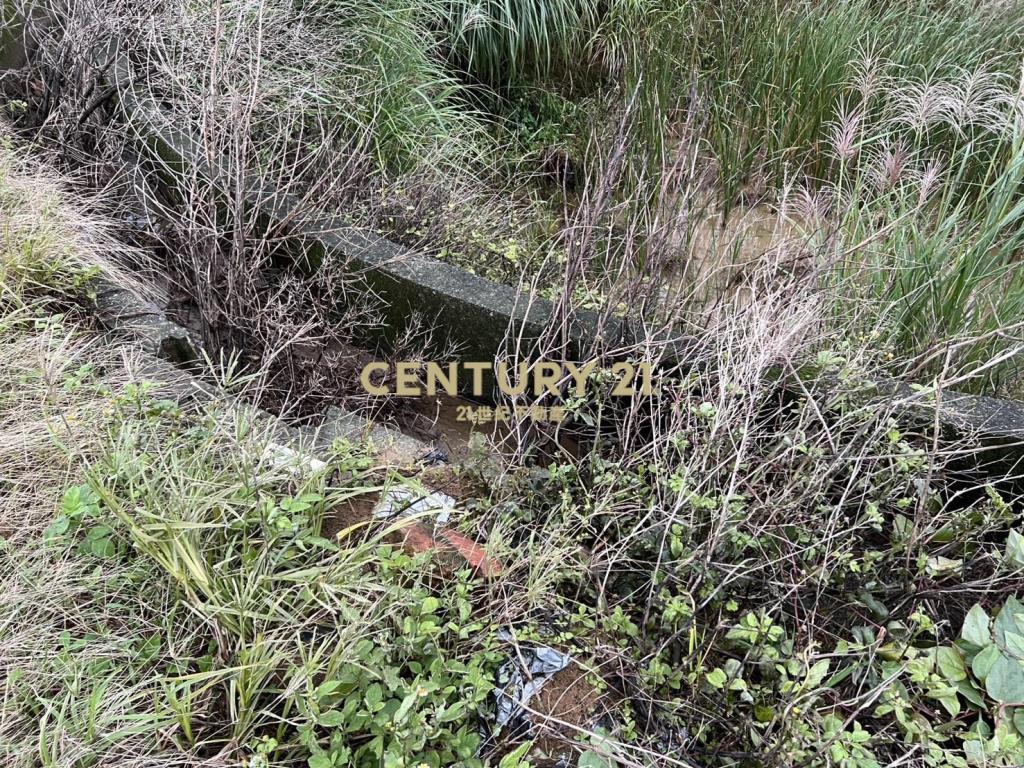 三芝制高農地1(B325)