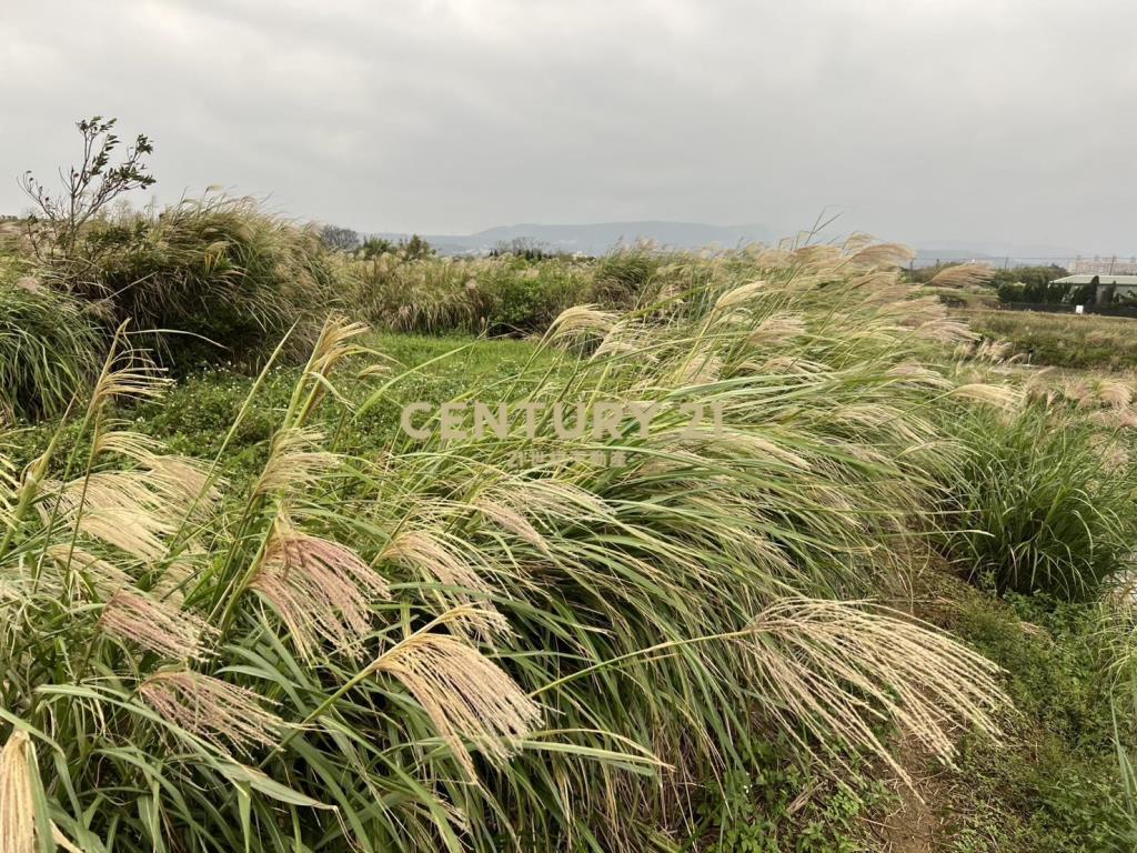 三芝制高農地2(B326)