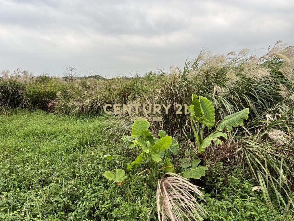 三芝制高農地2(B326)