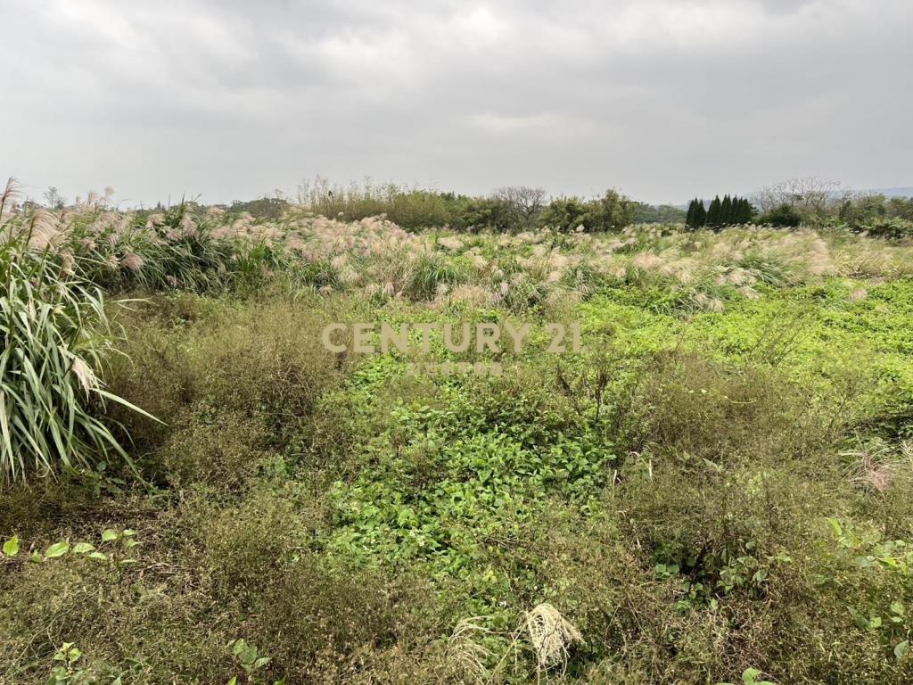 三芝制高農地2(B326)