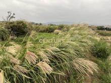 三芝制高農地3(B330)