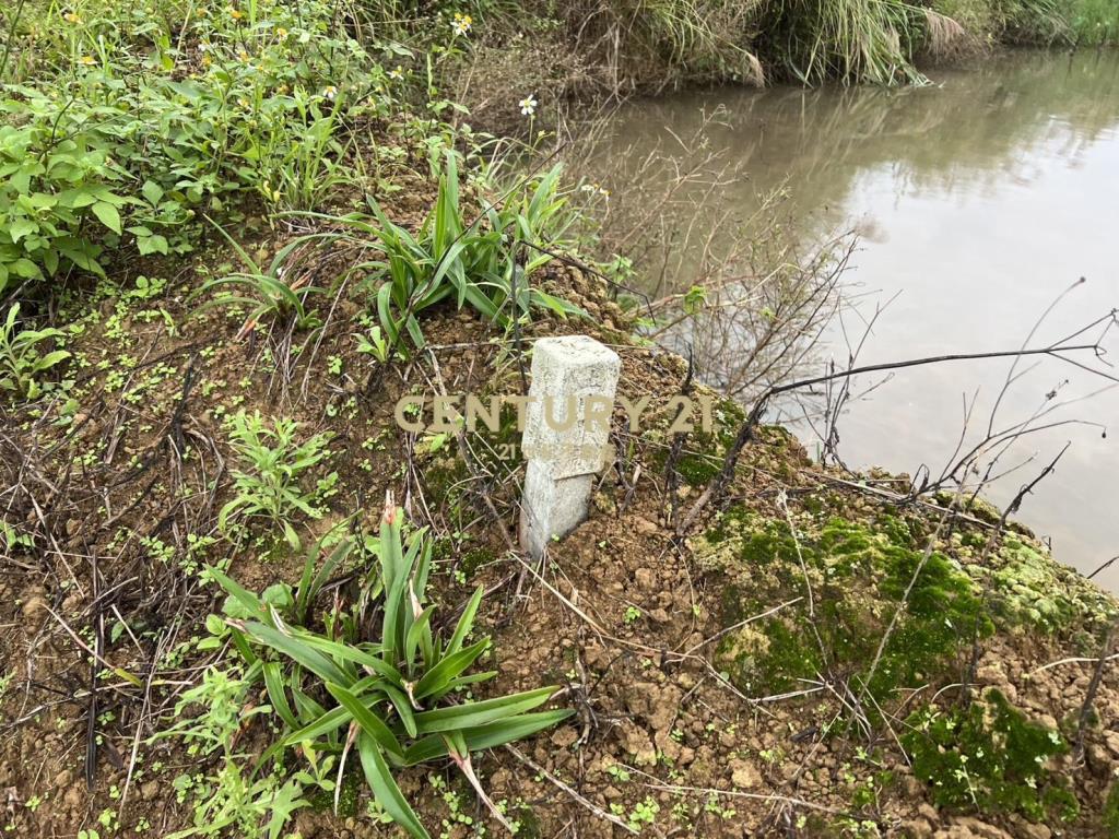 三芝制高農地3(B330)