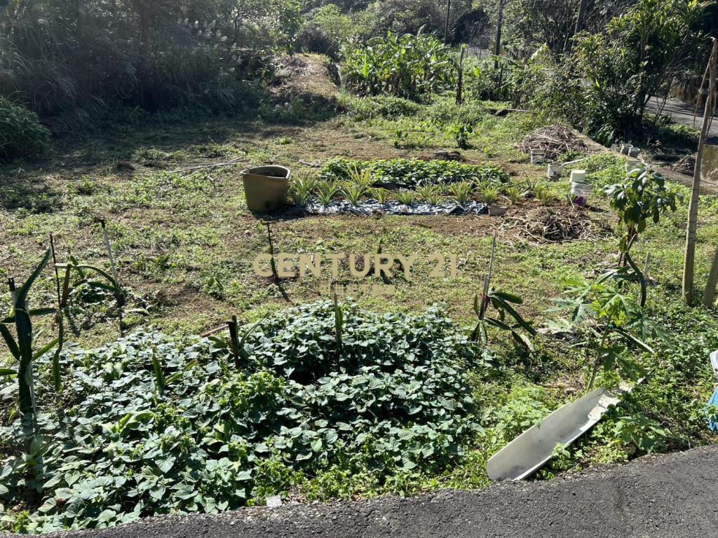 三芝臨路農地(B332)