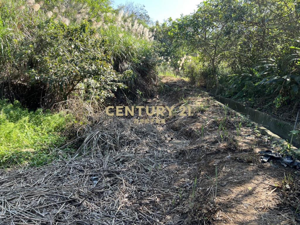 三芝臨路農地(B332)