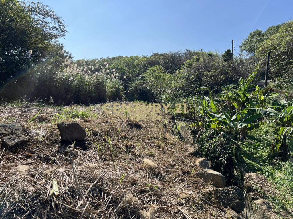 三芝臨路農地(B332)