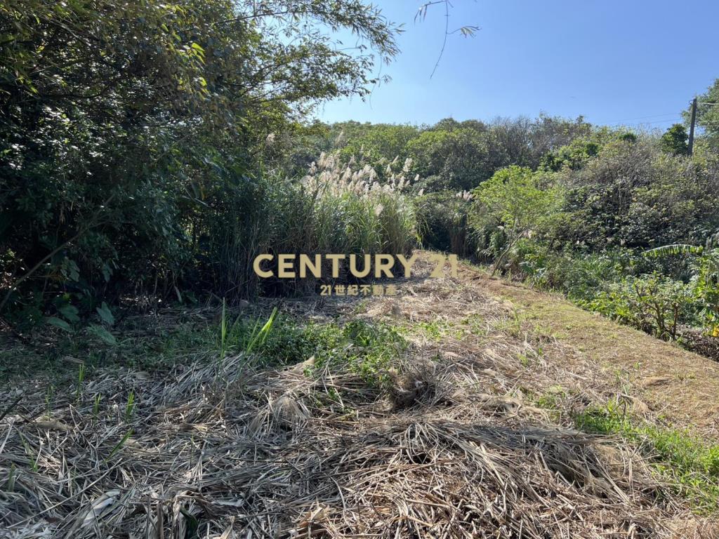 三芝臨路農地(B332)