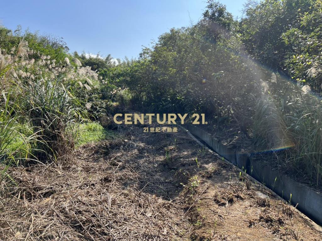 三芝臨路農地(B332)