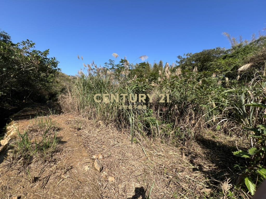 三芝臨路農地(B332)