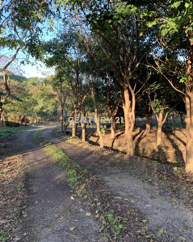 大溪超美農地+建地(B311)