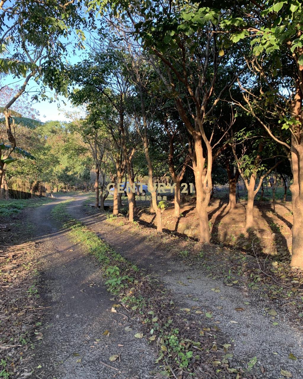 大溪超美農地+建地(B311)