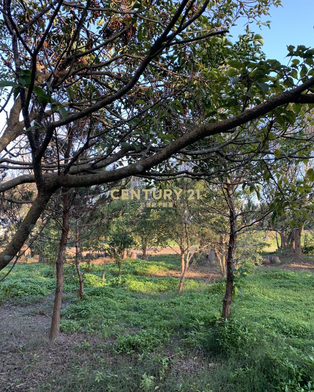 大溪超美農地+建地(B311)