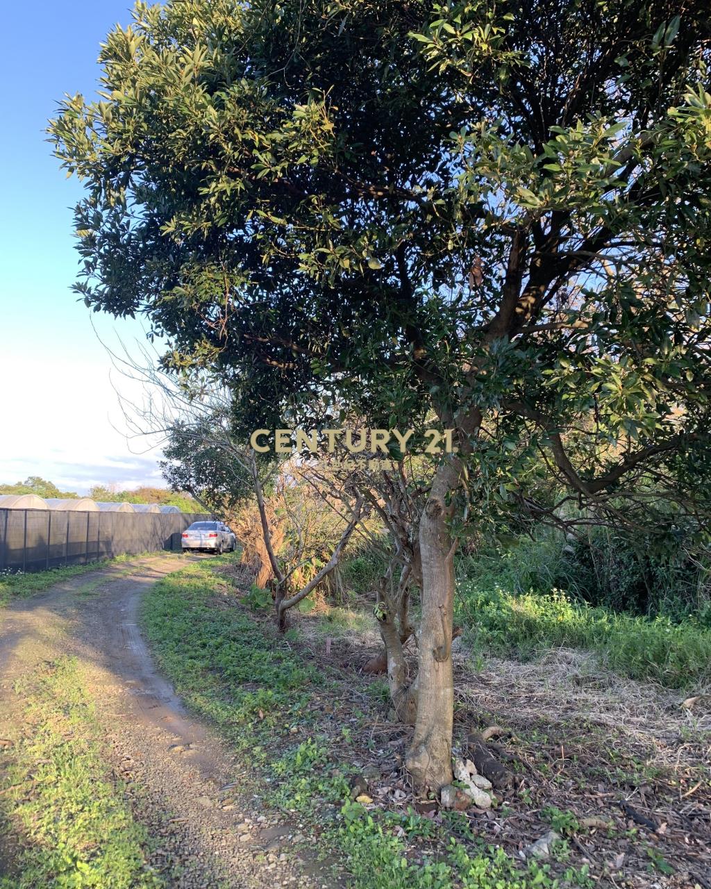 大溪超美農地+建地(B311)