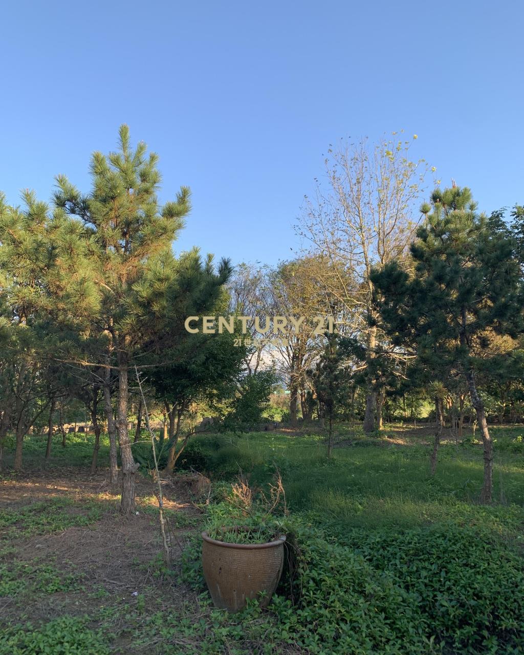 大溪超美農地+建地(B311)