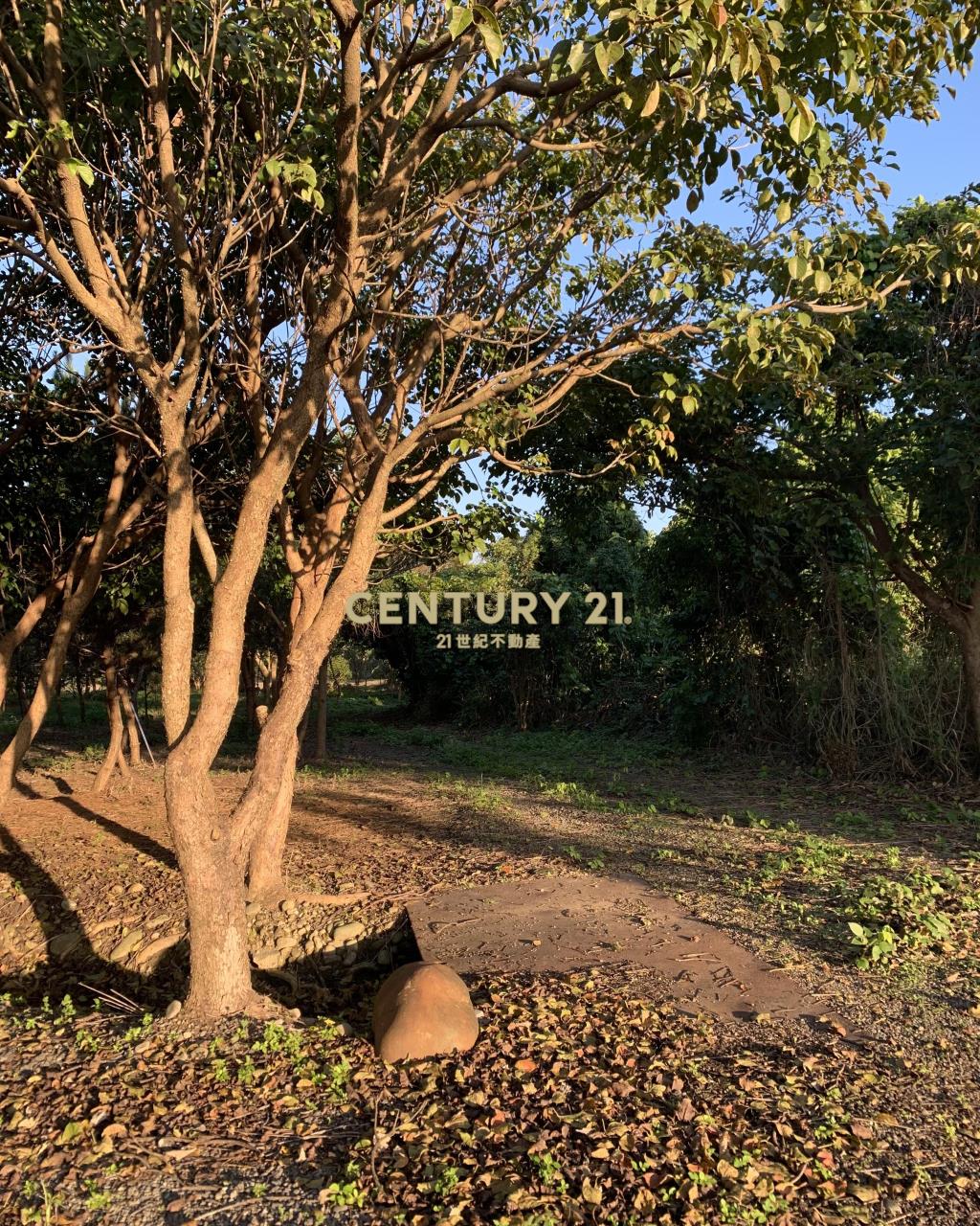 大溪超美農地+建地(B311)